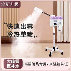 选择最适合你的蒸脸伴侣 美容喷雾仪全面解析
